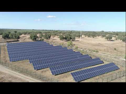 India&#039;s Green Energy Revolution - Massive increase in renewable energy